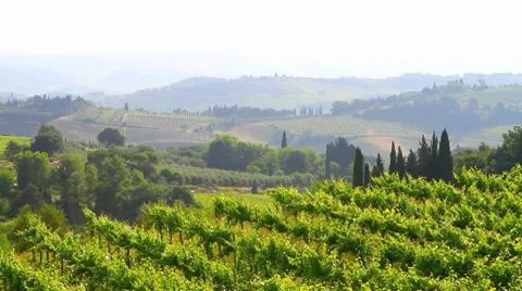 Italy Tuscany Stock Footage 7753822