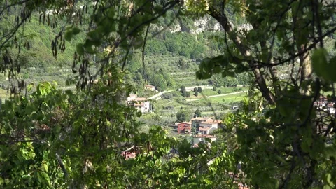 Italy view through vegetation Video stock 90271863