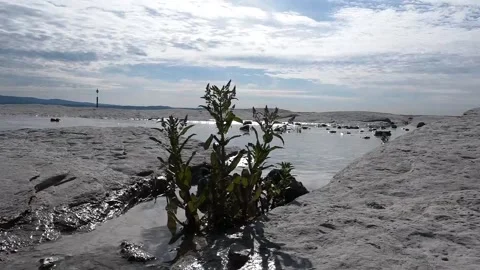 Italy's largest river, the Po, faces a s... | Stock Video | Pond5