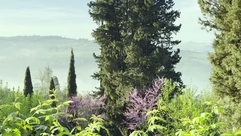 Italy,Tuscany, Stock Footage 277656858