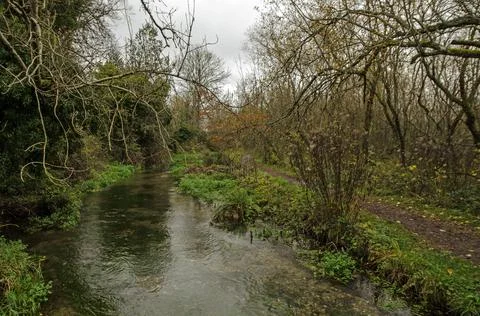 Itchen Way footpath besides the River Itchen, Hampshire Stock Photos