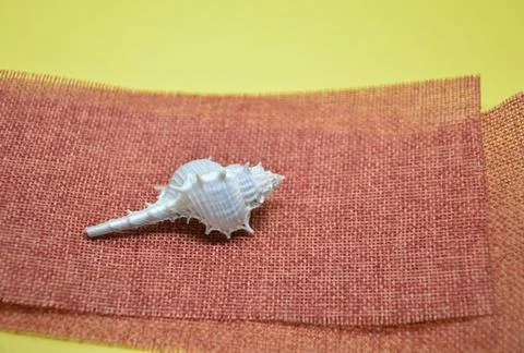 Items against the backdrop of environmentally friendly materials Stock Photos