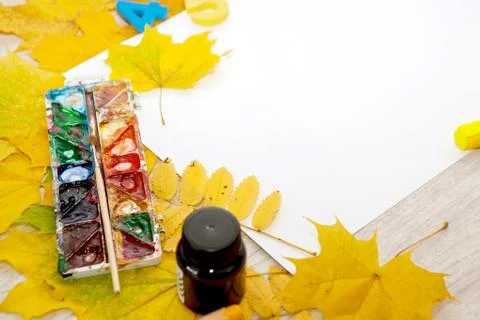 Items for creativity and drawing and autumn leaves Foto stock