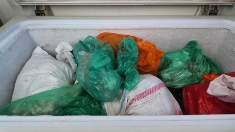 Items stored in bags inside a freezer Stock Footage 340245005