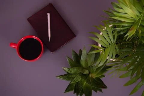 Items on the table. Studying and working with a laptop and a notebook. Foto stock