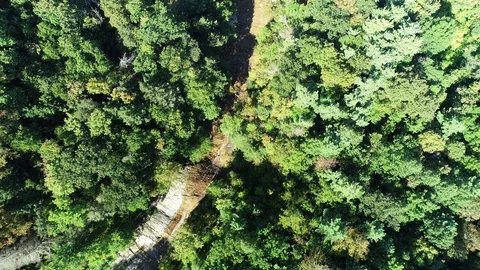 Ithaca-Gorges-2 Stock Footage 128981791