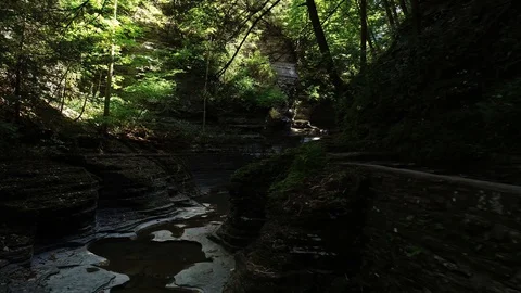 Ithaca-Gorges-3 Stock Footage 128981979