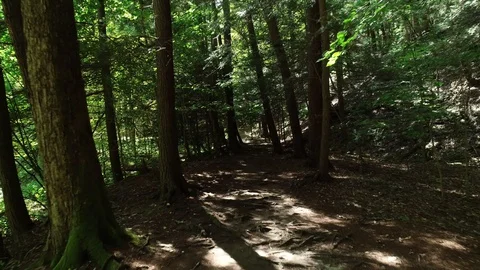 Ithaca-Gorges-5 Video stock 128981951