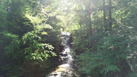 Ithaca-Gorges-6 Stock Footage 128989608