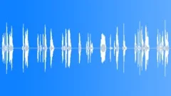 It's about TimeSound Effect