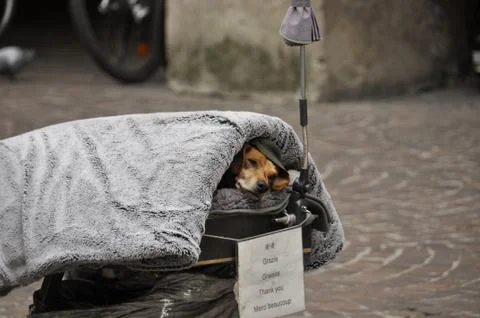 Its cold outside Stock Photos