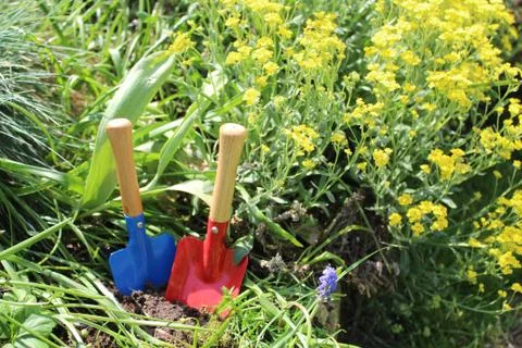It`s garden time Stock Photos