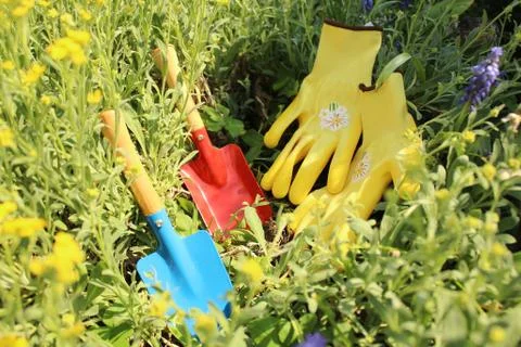 It`s garden time in the spring Stock Photos