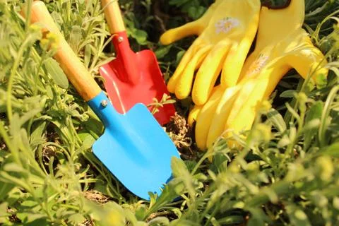It`s garden time in the spring Stock Photos