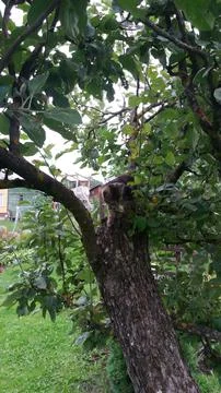 It's good here... Foto stock