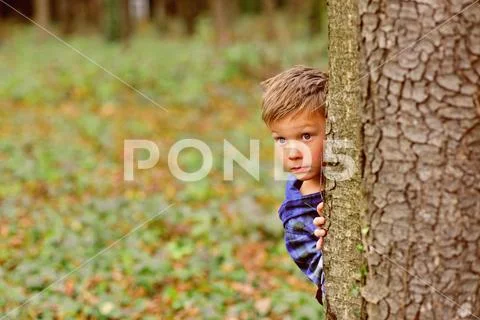 Its a little scary. Little boy hide behind tree. Small boy in scary forest Stock Photos