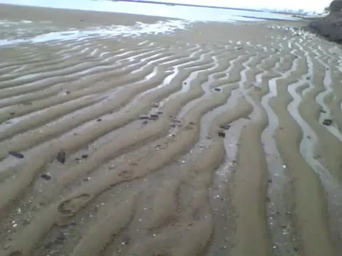 It's not the desert, it's the sand dunes on the beach, so beautiful! Stock Footage 162684954