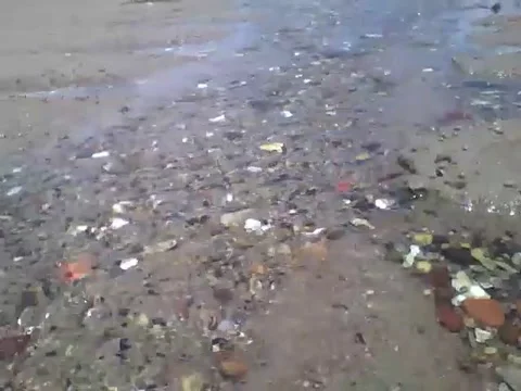 It's not a river, it's just seawater soaking shellfish, rocks and objects Stock Footage 162686267