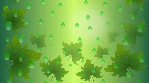 It's raining Stock Footage 153801975