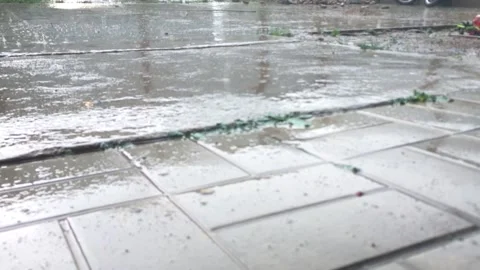 It's raining Stock Footage 201688148