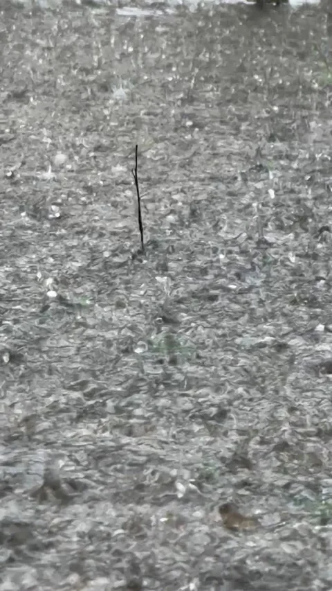 It’s raining Stock Footage 297270769