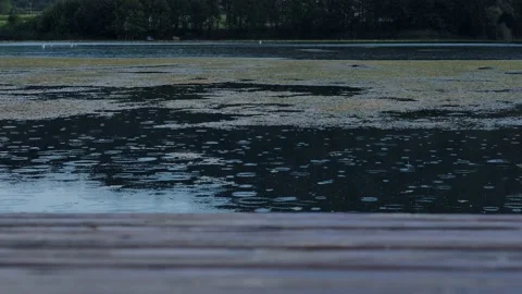 It's raining on lake. rain dropping on water, water circles from rain drops.  動画素材 205840857