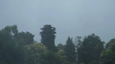 It's raining outside. focus from the street to the glass in the raindrops Video stock 119883841