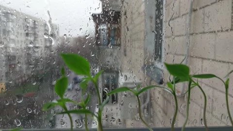 It's raining outside the window of the h... | Stock Video | Pond5
