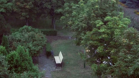 It's raining in the park Stock Footage 114181158