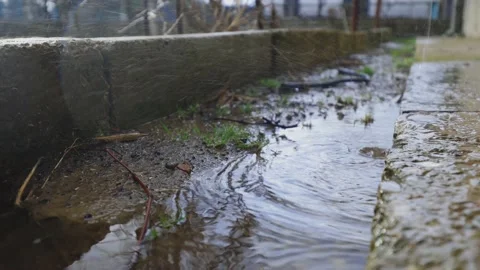 It's raining in the yard. A small puddle in it is rain. Water drops are splashed Stock Footage 237339137