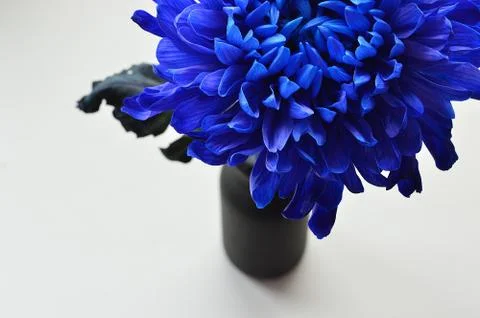 It's really blue! Stock Photos