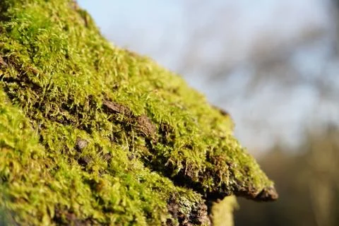It's a small world Stock Photos