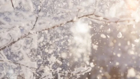 It's snowing. Falling large flakes of snow against the backdrop of branches Video stock 119032047