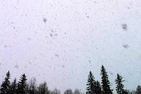 Its snowing Video stock 142720