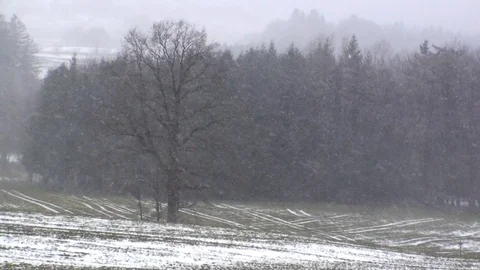 It's snowing 库存影片 85695670