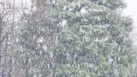 It's snowing Stock Footage 232363185