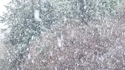 It's snowing Stock Footage 232363194