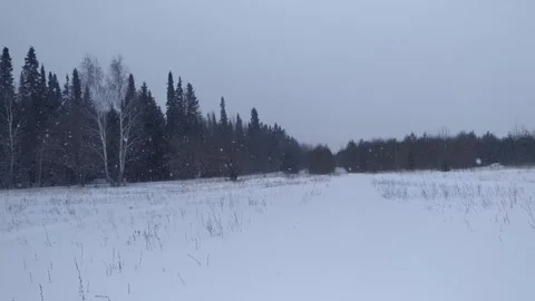 It's snowing Stock Footage 264150584