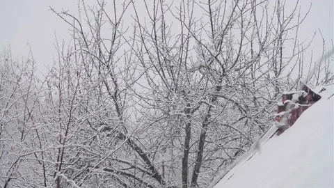 It's snowing Stock Footage 295593129