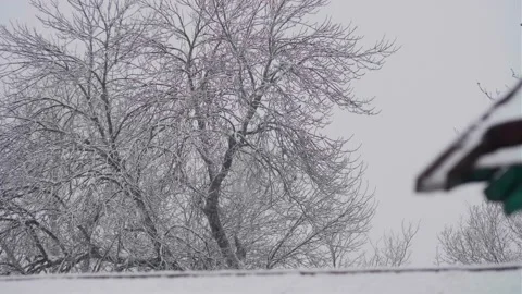 It's snowing Stock Footage 295593136