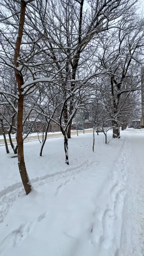 It's snowing outside. Snow-covered street in city with cars, winter cityscape Stock Footage 288401509