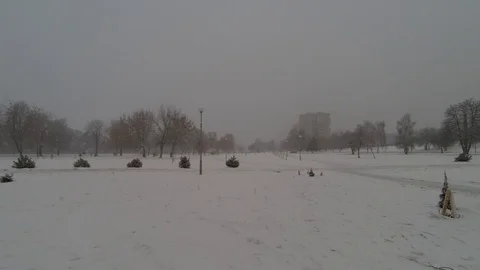 It's snowing in the park. Stock Footage 104662393