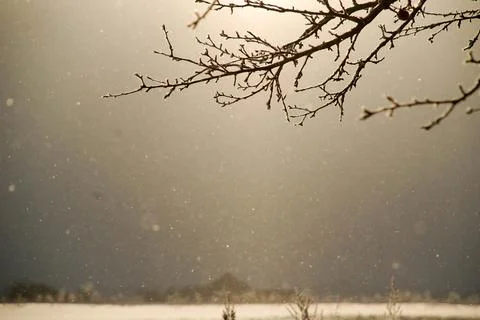 It's snowing... Foto stock