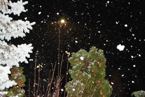 It's snowing Stock Photos