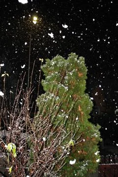 It's snowing Stock Photos