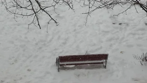 It's snowing on trees, spruce, car, park bench. Winter forest landscape 库存影片 146142088