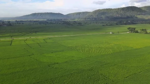 It's So Ecological Stock Footage 146568752