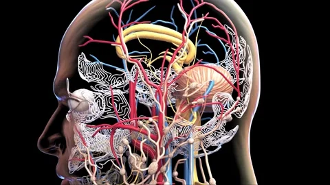 It's spreading Stock Footage 260863554