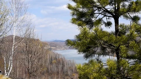It's spring. Blossoming buds and leaves on the background of a mountain lake in  Stock Footage 108012290