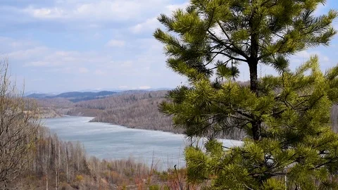 It's spring. Blossoming buds and leaves on the background of a mountain lake in  Stock Footage 108012292